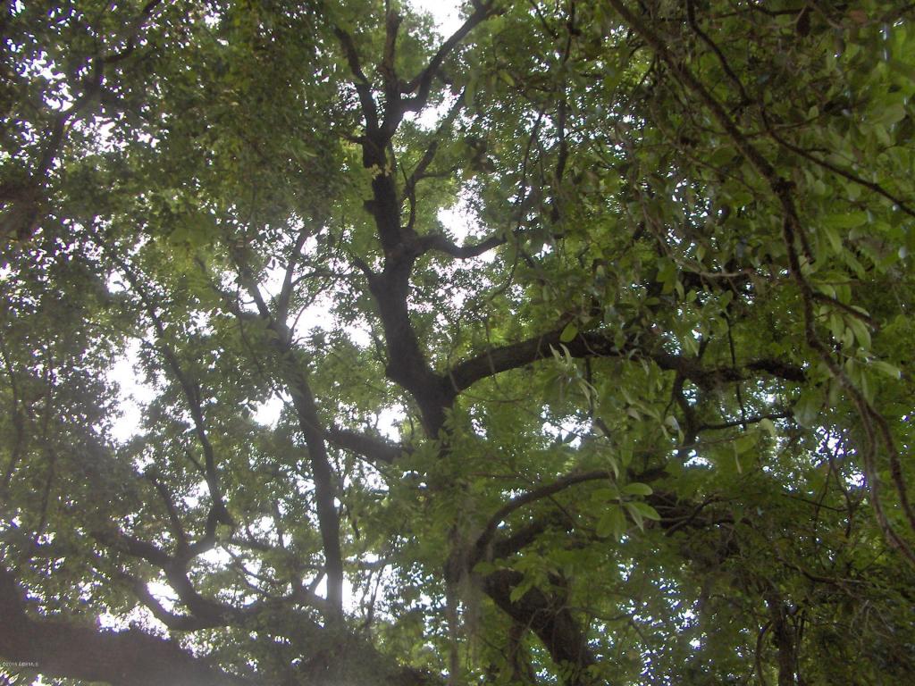 0000 Jasper Station Road Road, Ridgeland, SC 29936