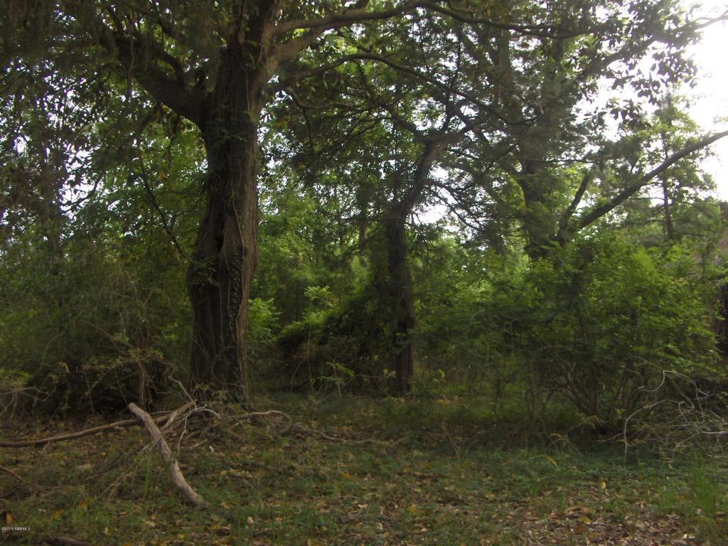 0000 Jasper Station Road Road, Ridgeland, SC 29936