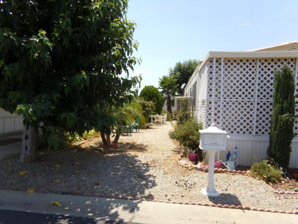 Bel Air Mobile Estates,SP, 27150 SHADEL DR., 176