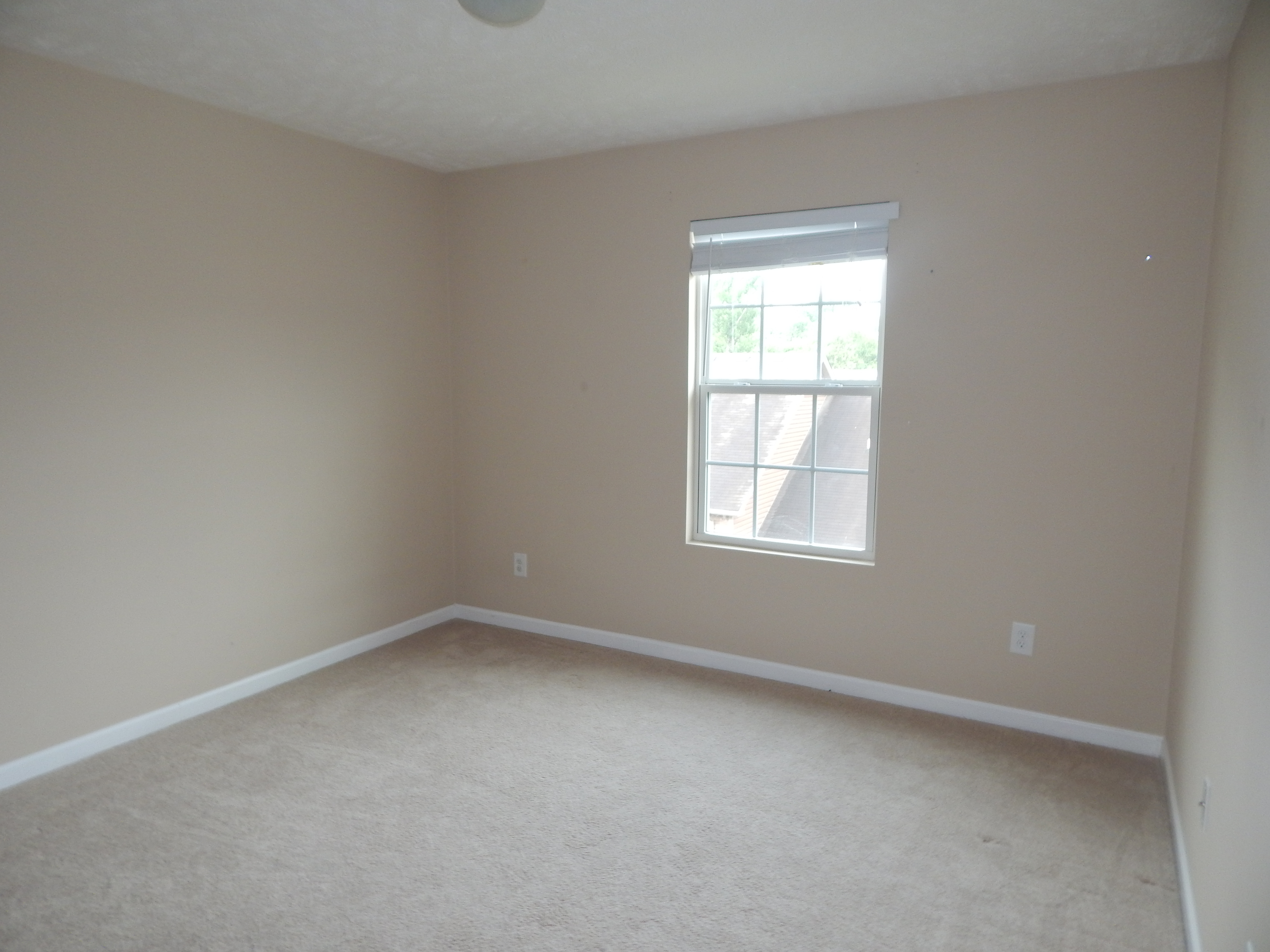 1209 Bainbridge DrNashville, TN, 37211Davidson County