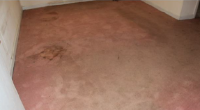 547 Long StreetDayton, TN, 37321Rhea County