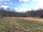 40 ARNOLD HOLLOW RD ,TN, Flintville, 37335