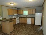 698 ROCKY SPRINGS RD RO ,TN, Spring City, 37381