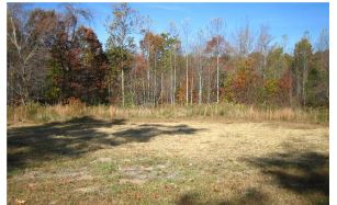 9535 Highway 108Whitwell, TN, 37397Marion County