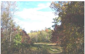 9535 Highway 108Whitwell, TN, 37397Marion County