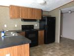 233 PEDRO SHOUN LN 1 ,TN, Mountain City, 37683