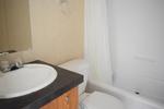 233 PEDRO SHOUN LN 1 ,TN, Mountain City, 37683