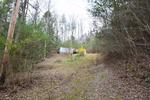 5010 BOGARD RD LOT 2 ,TN, Cosby, 37722