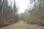 5010 BOGARD RD LOT 2 ,TN, Cosby, 37722