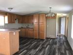 30 CARPENTERS CHAPEL ,TN, Mosheim, 37818