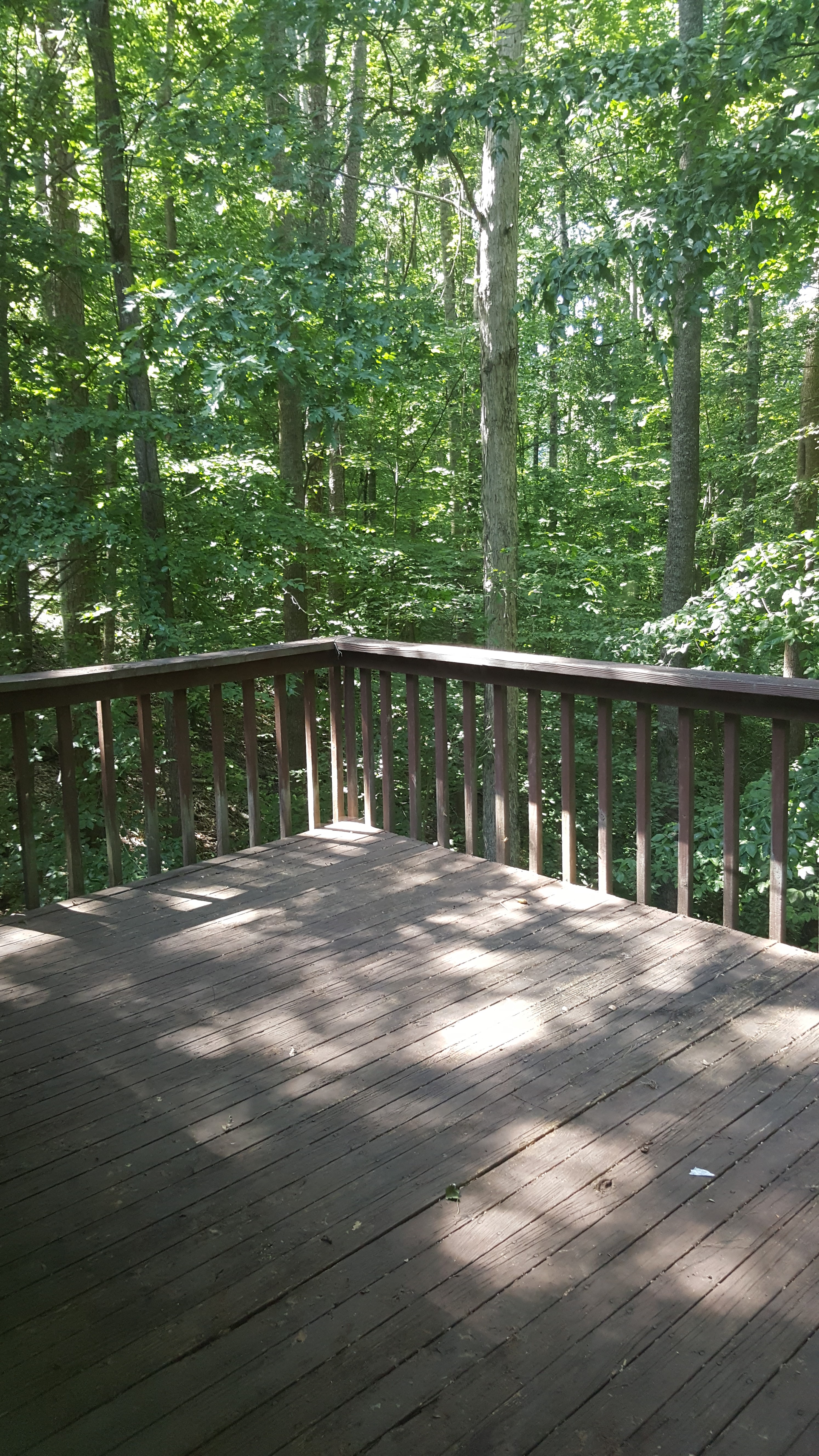 929 Wildwood Garden DrKnoxville, TN, 37920Knox County