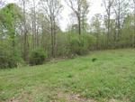 138 MURPHY TOWER CV ,TN, Cedar Grove, 38321