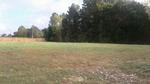 1305 PEACE CHAPEL RD ,TN, Decaturville, 38329