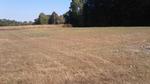 1305 PEACE CHAPEL RD ,TN, Decaturville, 38329