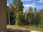 1176 MAZIES CHAPEL RD ,TN, Lexington, 38351