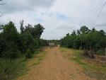 245 JOT EM DOWN RD ,TN, Morris Chapel, 38361