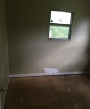 3230 Old Reagan RdSardis, TN, 38371Henderson County