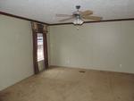 50 GOLDEN LN ,TN, Scotts Hill, 38374
