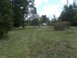 3194 WILDER HWY