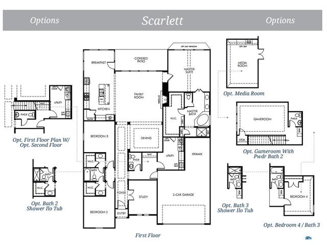 1504 Torrent Drive, Little Elm, TX 75068