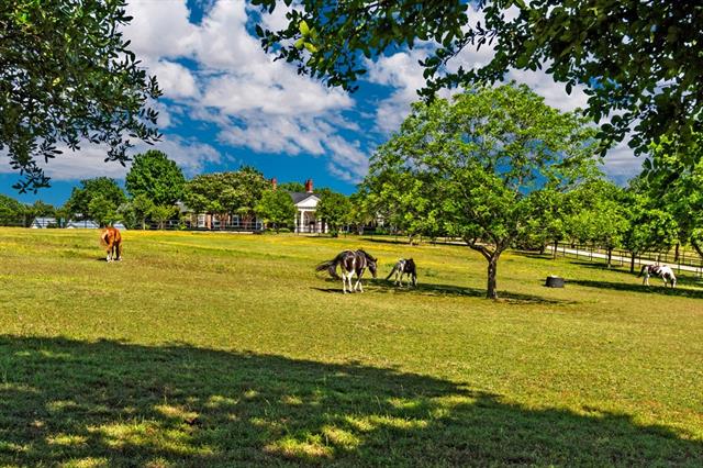 3745 Morton Vale Road, Plano, TX 75074