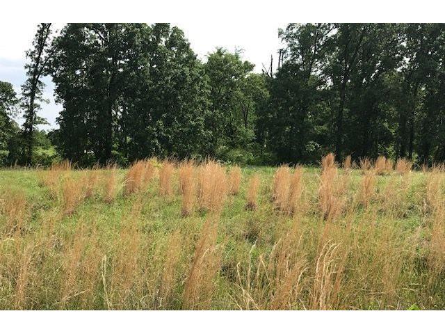 Lot 5 VZ CR 1833, Grand Saline, TX 75140