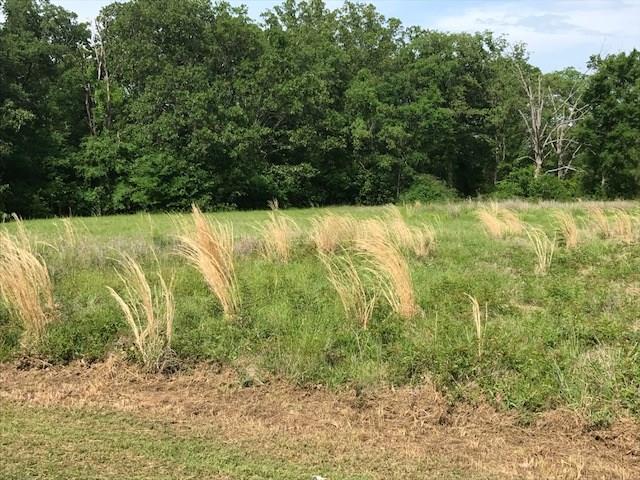 Lot 5 VZ COUNTY ROAD 1833, Grand Saline, TX 75140