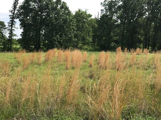 Lot 5 VZ COUNTY ROAD 1833, Grand Saline, TX 75140
