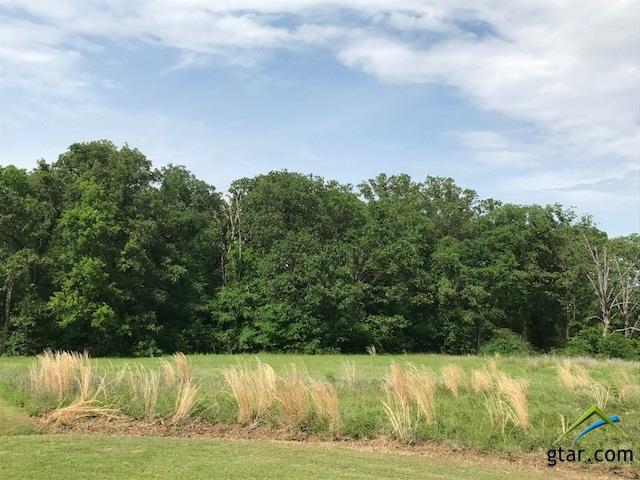 LOT 5 VZ CR 1833, Grand Saline, TX 75140