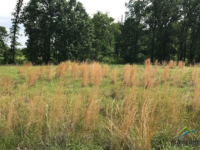 LOT 5 VZ CR 1833, Grand Saline, TX 75140