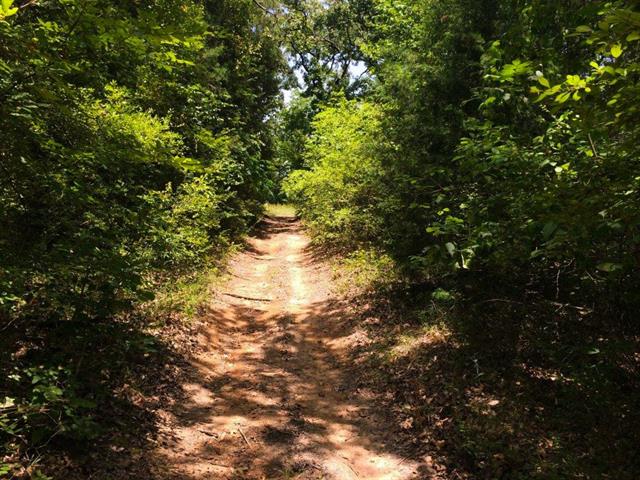 Lt 22 North Shore Drive, Kerens, TX 75144