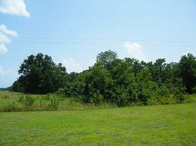 Lt 22 North Shore Drive, Kerens, TX 75144