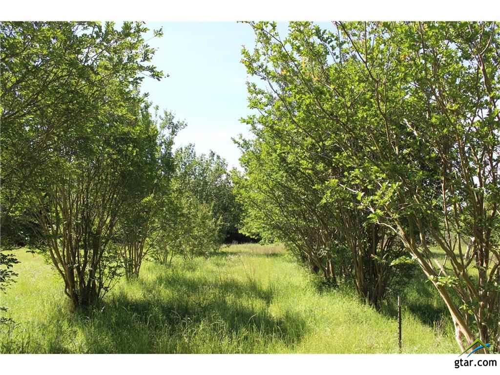 1099 VZ CR 2703, Mabank, TX 75147