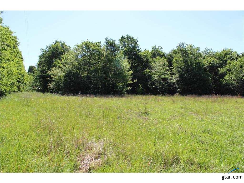 1099 VZ CR 2703, Mabank, TX 75147