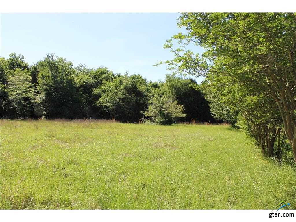 1099 VZ CR 2703, Mabank, TX 75147