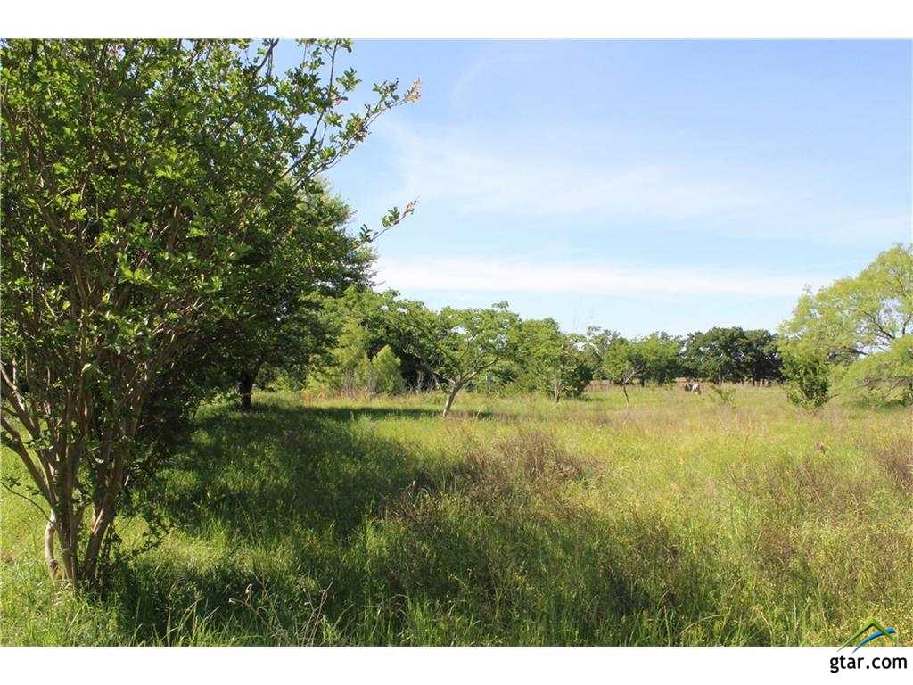 1099 VZ CR 2703, Mabank, TX 75147