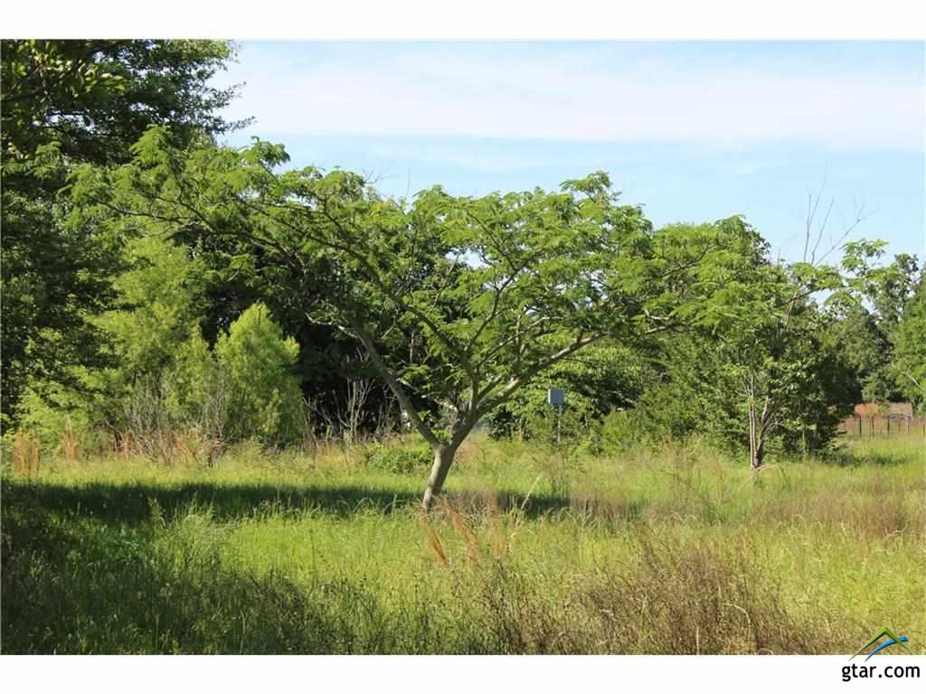 1099 VZ CR 2703, Mabank, TX 75147
