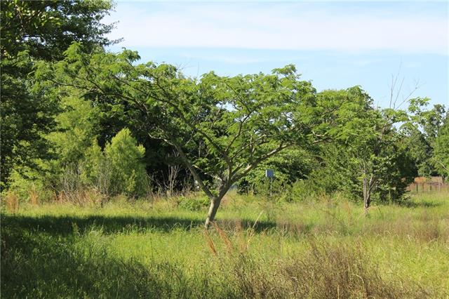 1099 Vz County Road 2703, Mabank, TX 75147