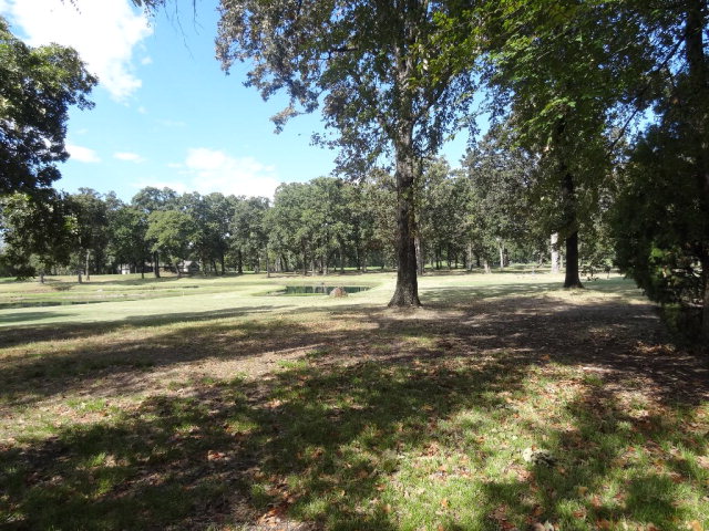 253 Saint Andrews Drive, Mabank, TX 75156