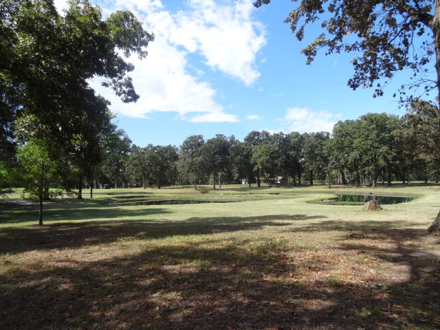 253 Saint Andrews Drive, Mabank, TX 75156