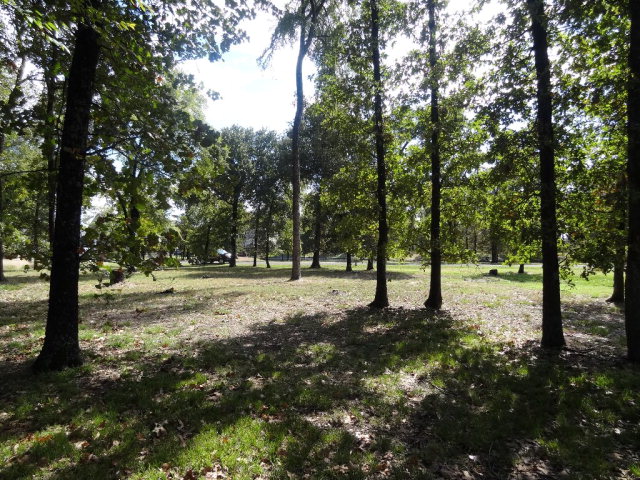 253 Saint Andrews Drive, Mabank, TX 75156