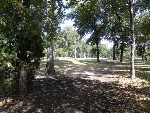 253 Saint Andrews Drive, Mabank, TX 75156