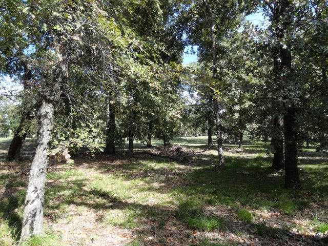 251 Saint Andrews Drive, Mabank, TX 75156