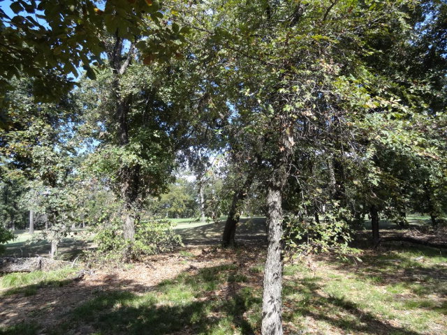 251 Saint Andrews Drive, Mabank, TX 75156