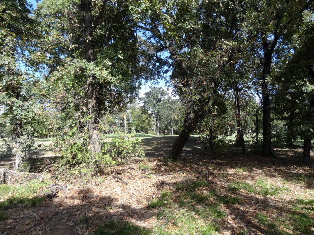 251 Saint Andrews Drive, Mabank, TX 75156