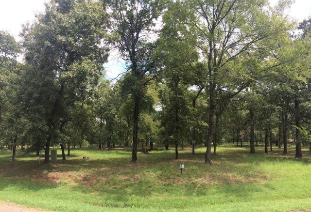 425 Saint Andrews, Mabank, TX 75156