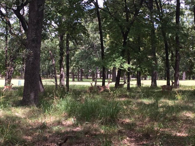 425 Saint Andrews, Mabank, TX 75156