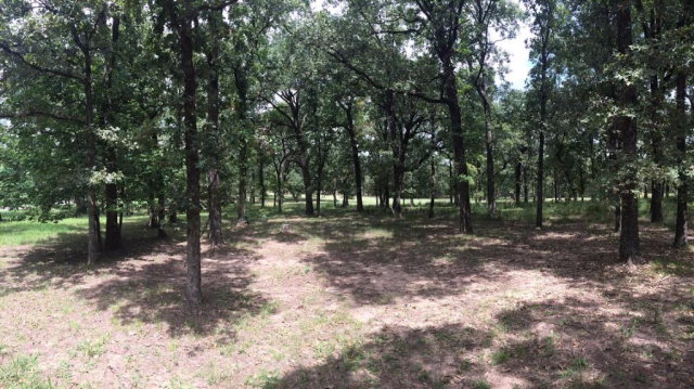 425 Saint Andrews, Mabank, TX 75156