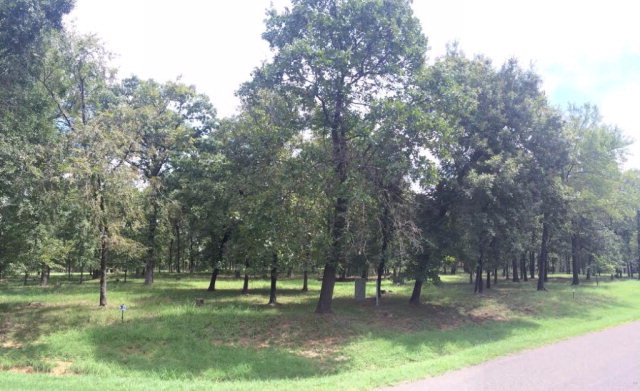425 Saint Andrews, Mabank, TX 75156