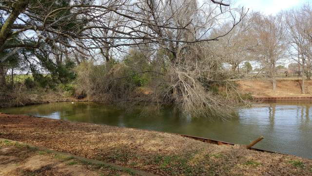 0 Foster Ranch Road, Trinidad, TX 75163